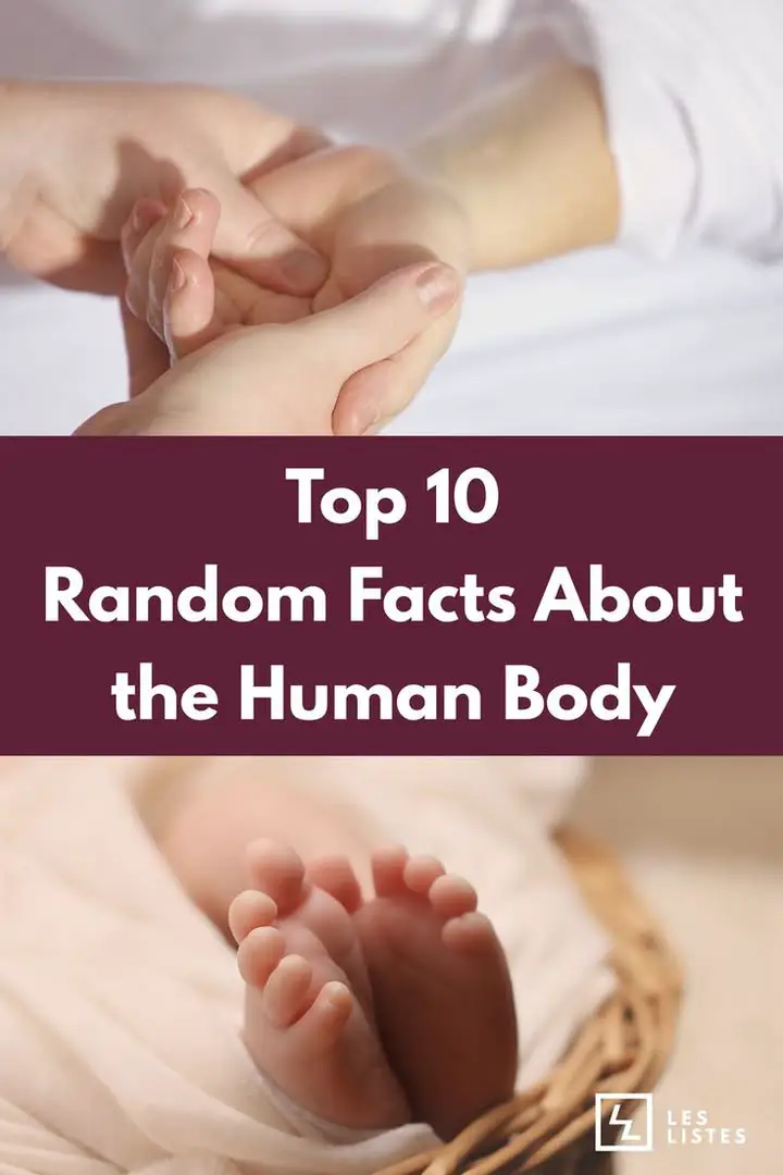 Top 10 Random Human Body Facts