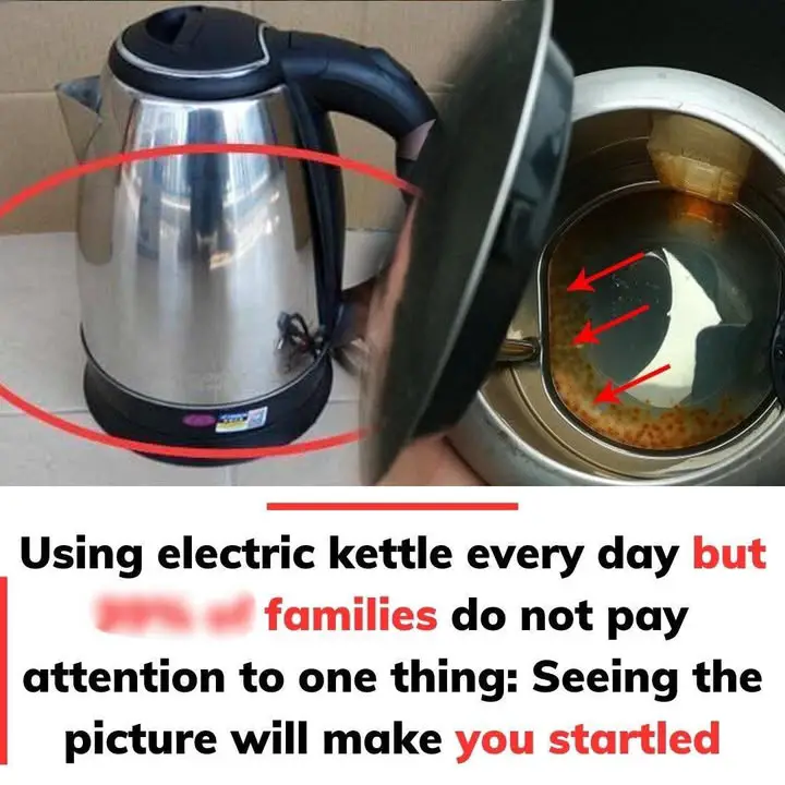 Look At The Picture And Be Surprised