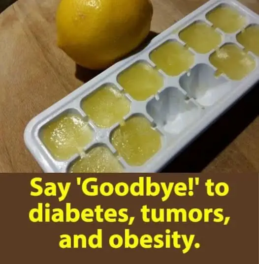 Frozen Lemons Say Goodbye To Diabetes Tumors Obesity